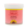 jane-carter-solution-curls-to-go-curl-drench-cleansing-co-wash-454-gr